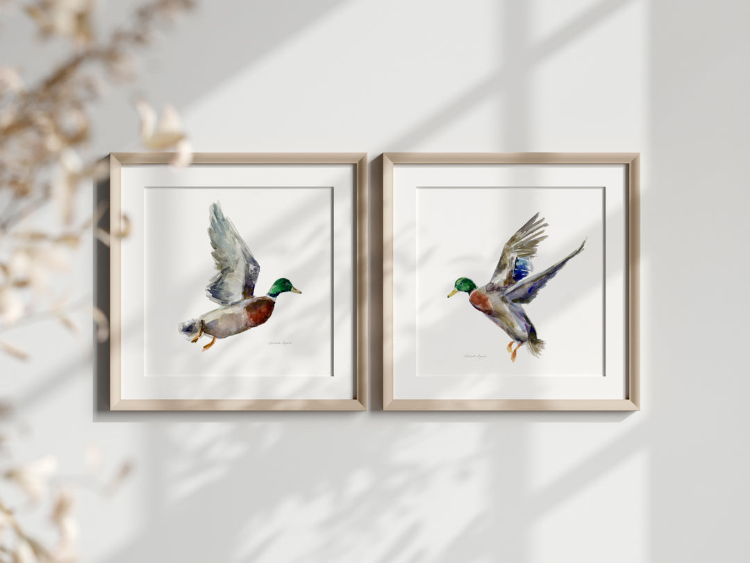Twee vliegende eenden in houten lijsten door Michelle Dujardin