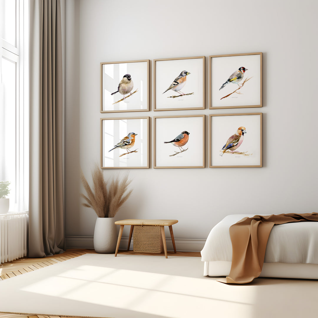 Framed bird prints on a wall in a bedroom setting