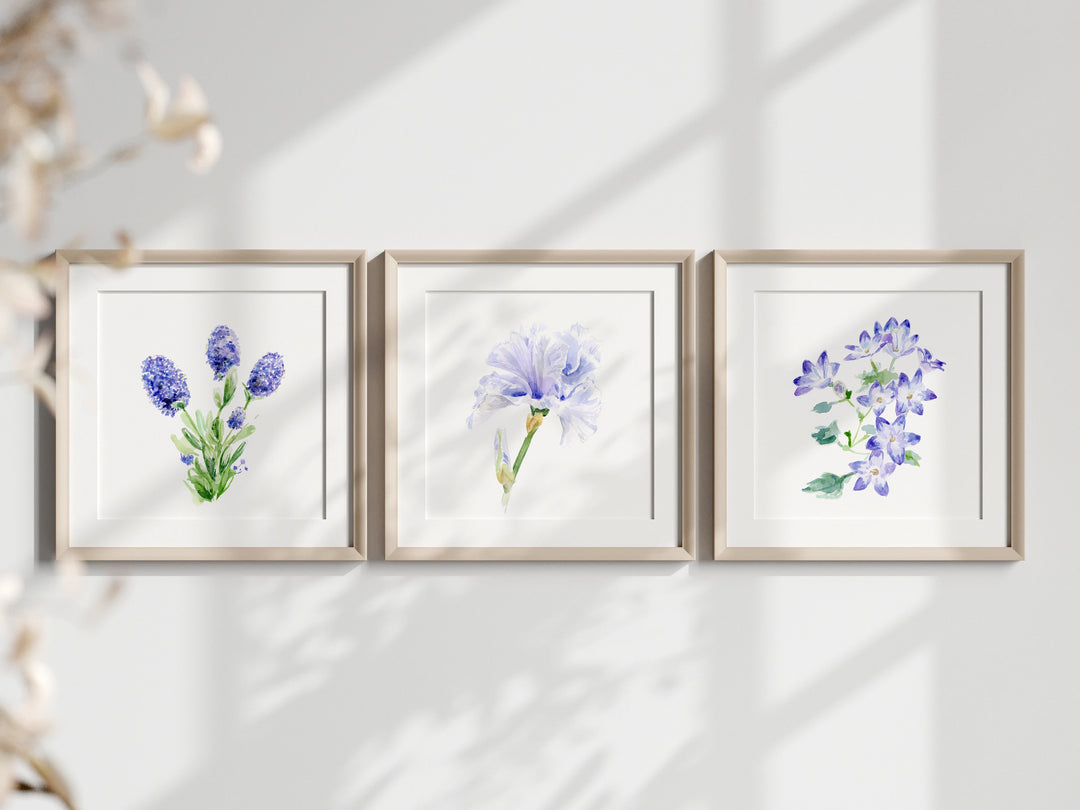 3 ingelijste bloem schilderijen