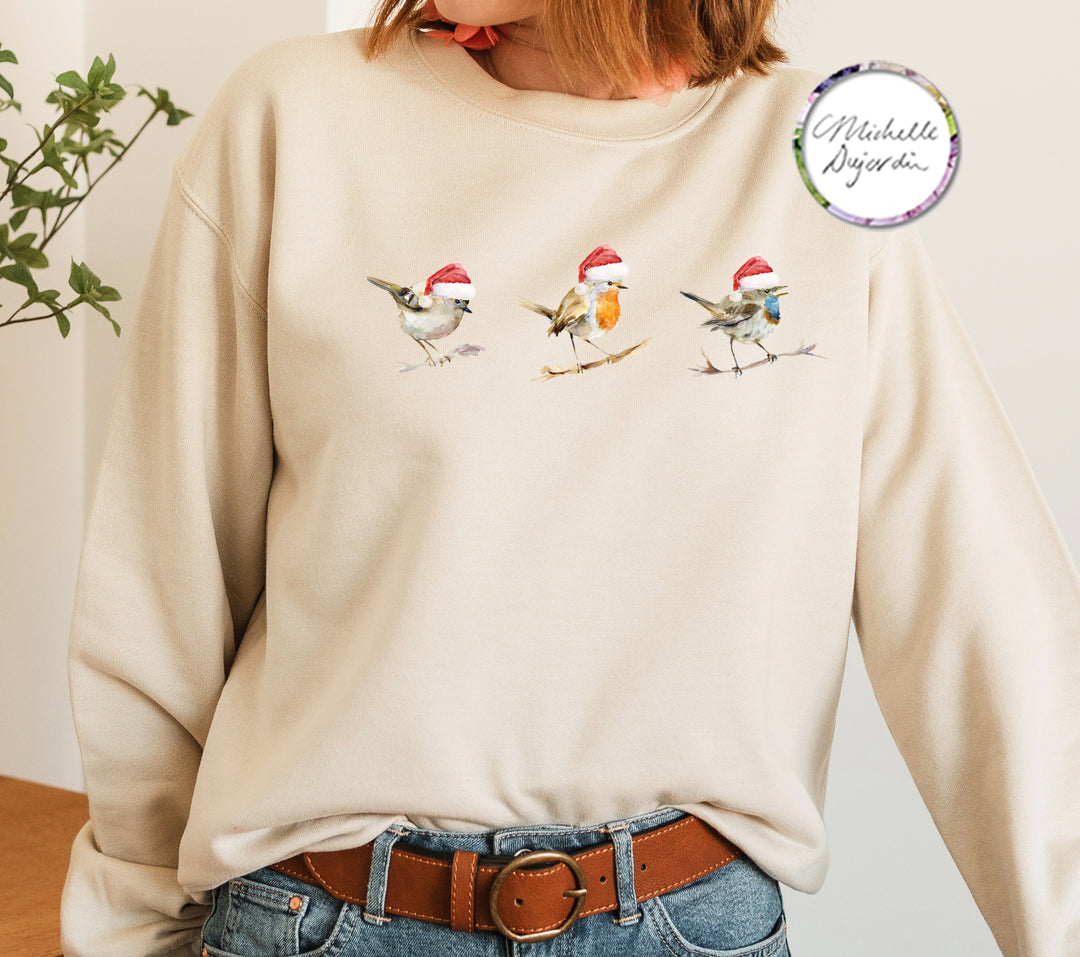 Kersttrui met 3 verschillende vogelsoorten met kerstmuts op