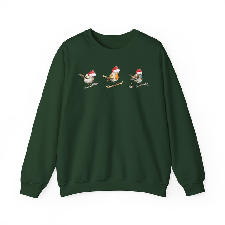 Donkergroene sweater met 3 kleine vogels met kerstmuts