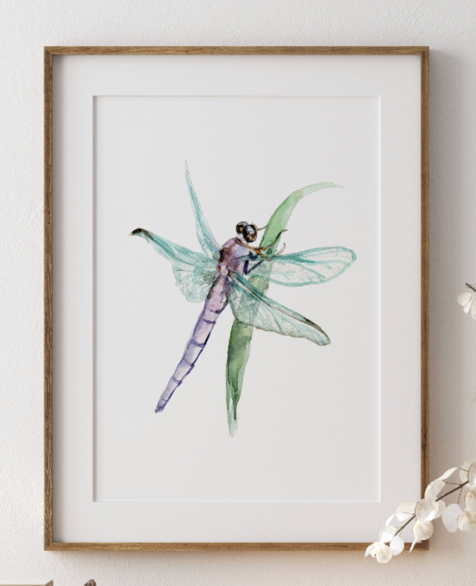 aquarel kunstprint van een libelle in houten lijst