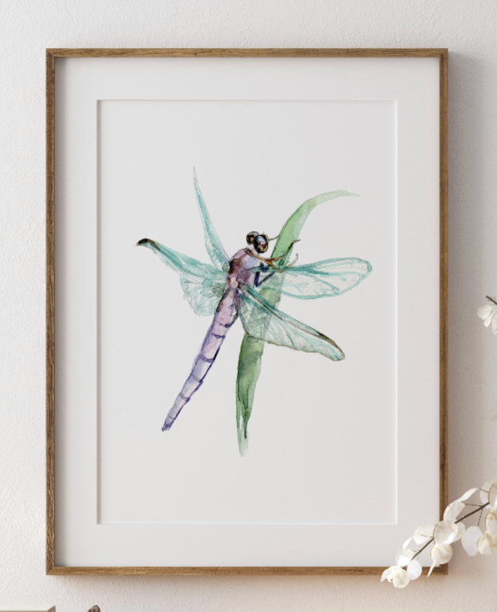 aquarel kunstprint van een libelle in houten lijst