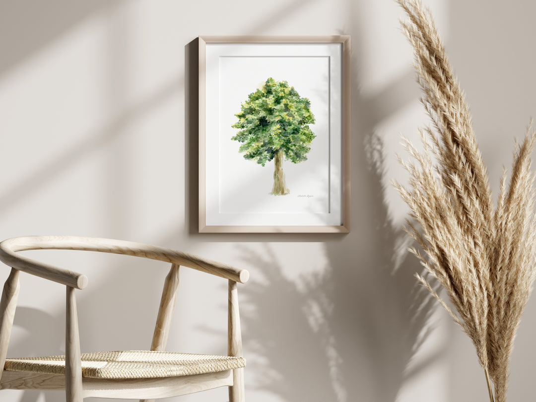 Linden tree watercolor painting in frame 