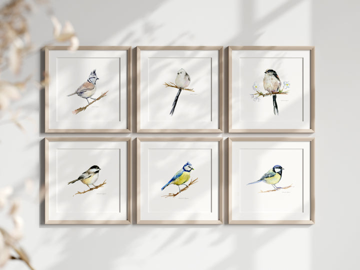 set muurprints in lijsten met 6 verschillende mezen schilderijen