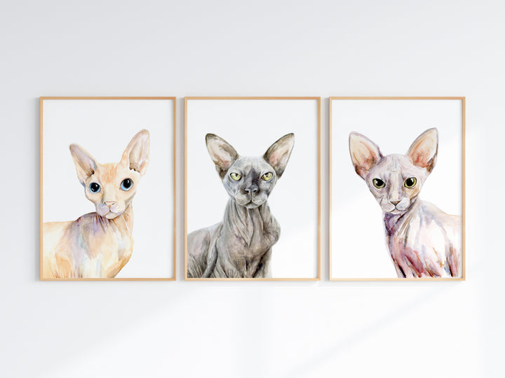 Kat schilderij in opdracht