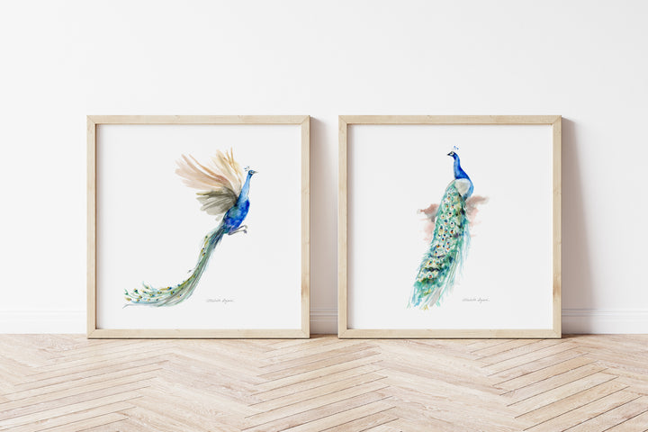 Set van twee vierkante lijsten met pauwen kunst