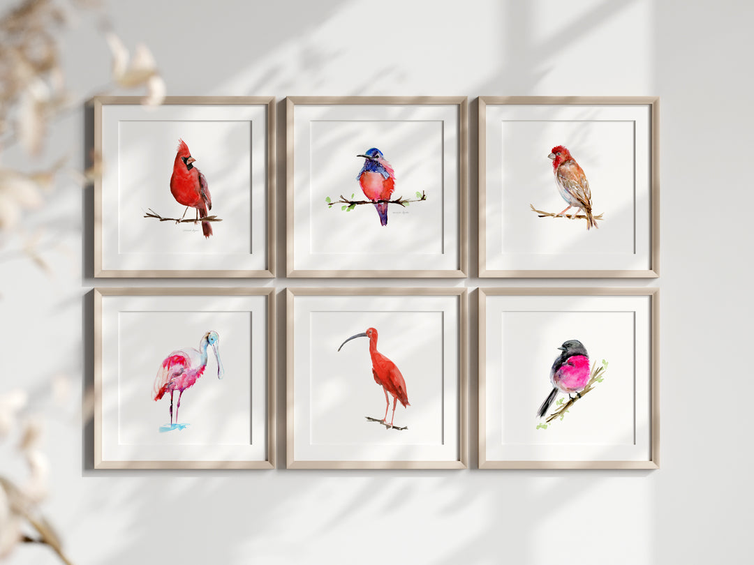 Vierkante lijsten met rood roze vogels