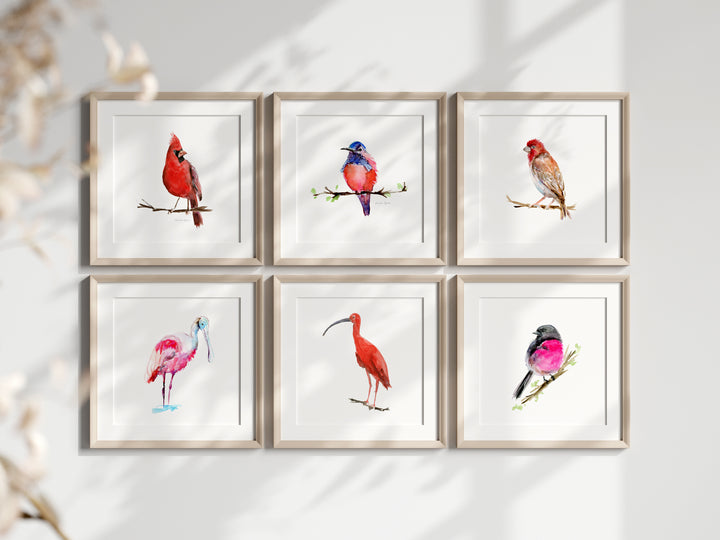 Vierkante lijsten met rood roze vogels