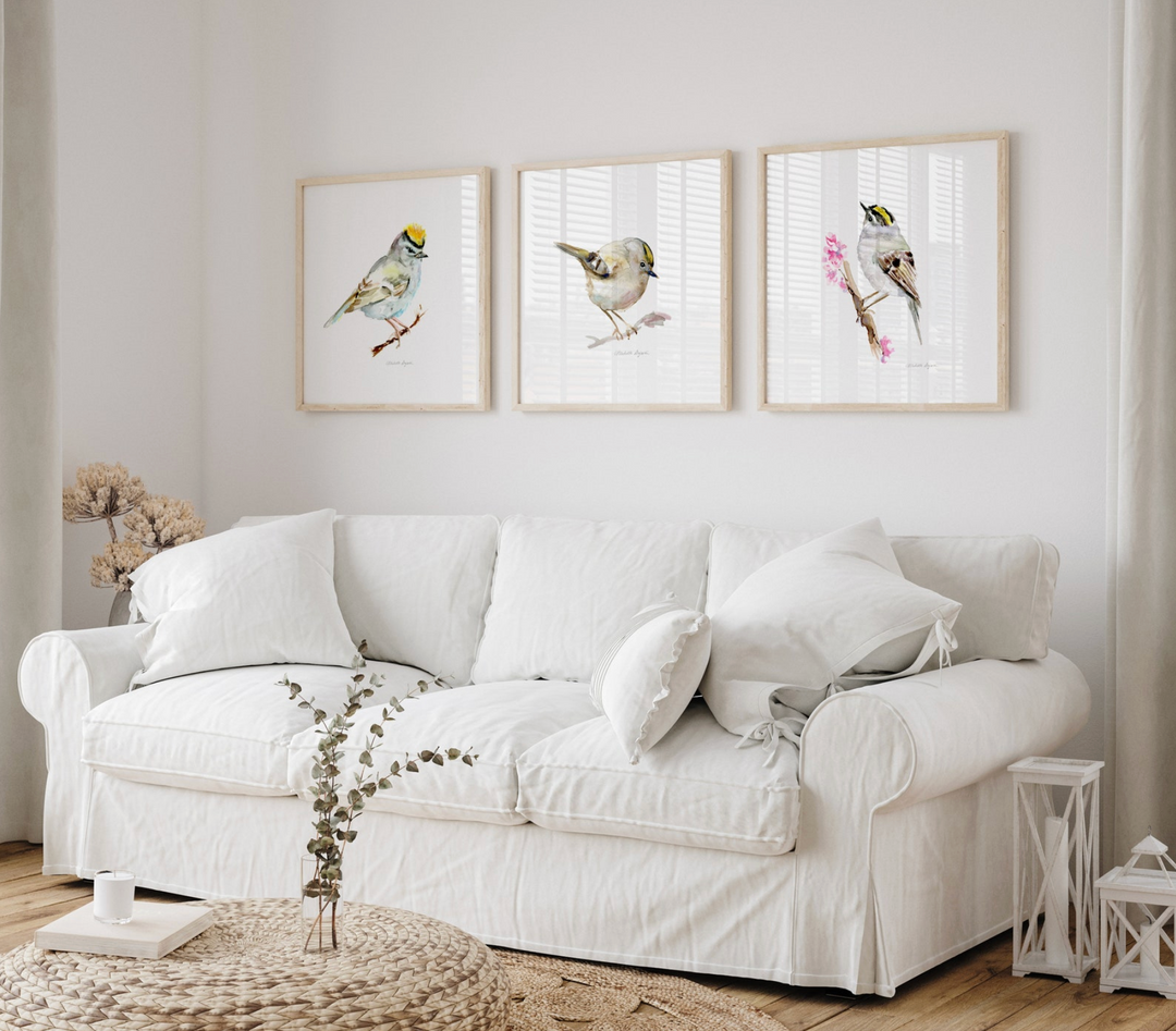 Set of 3 Goldcrest Watercolor Art Prints