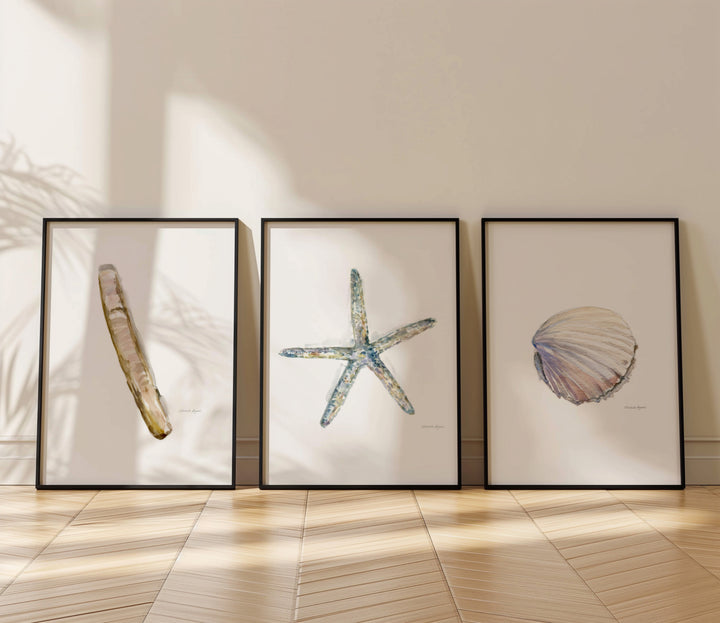 Schelpen Aquarel Print Set van 3 – Zeester & Scheermesje schelp 