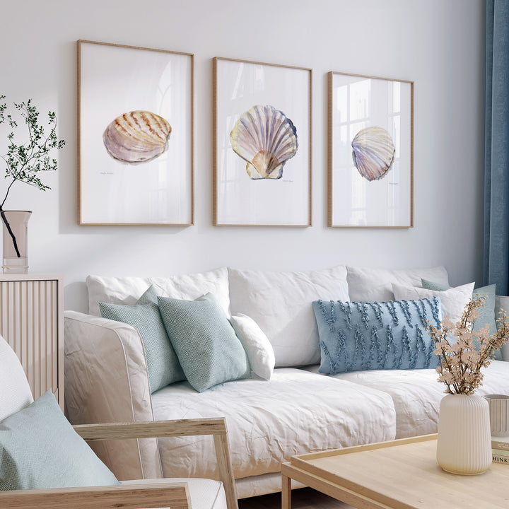 Living room with a white sofa, decorative pillows, and framed shell art on the wall.