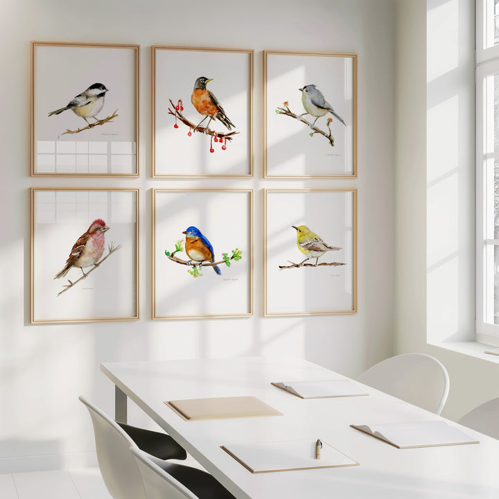 Set van 6 Amerikaanse vogelprints