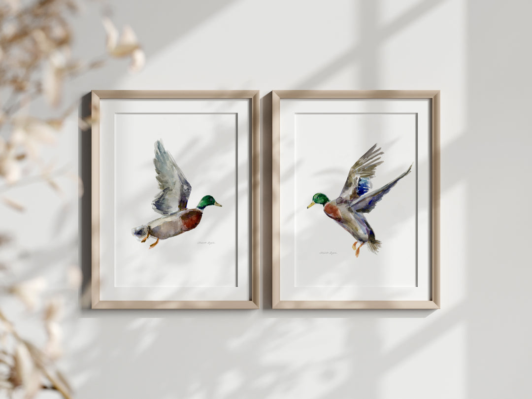 Twee lijsten met eenden schilderijen van Michelle Dujardin
