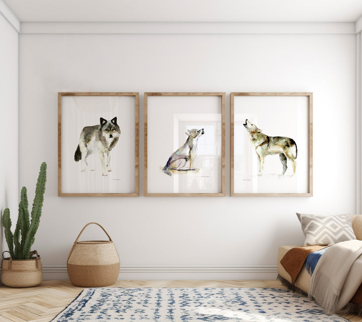 Three framed wolf prints on a wall in a room with decor elements.