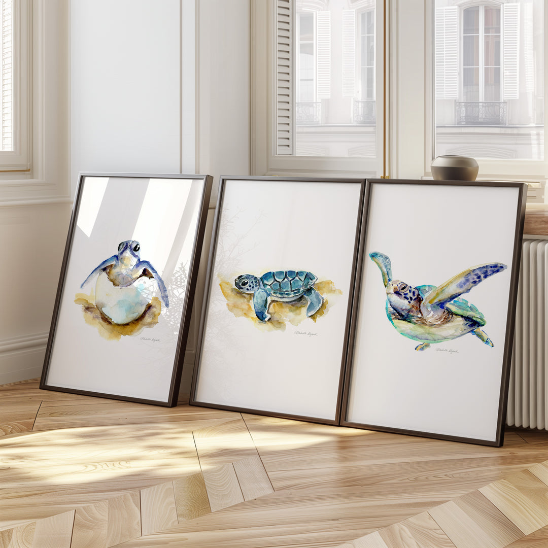 Drie ingelijste prints van zeeschildpadden baby tot volwassende.