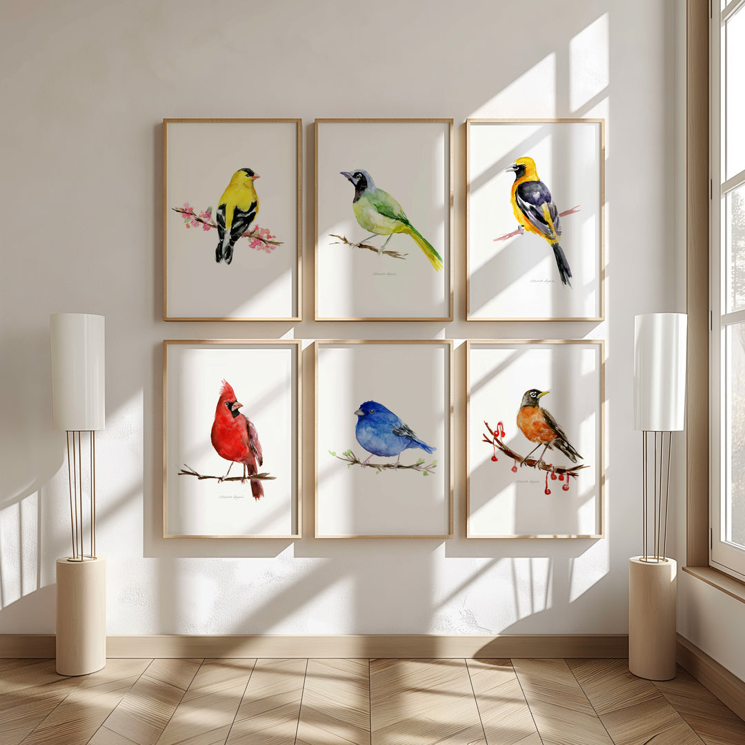 Set van 6 Kleurrijke Amerikaanse zangvogel prints