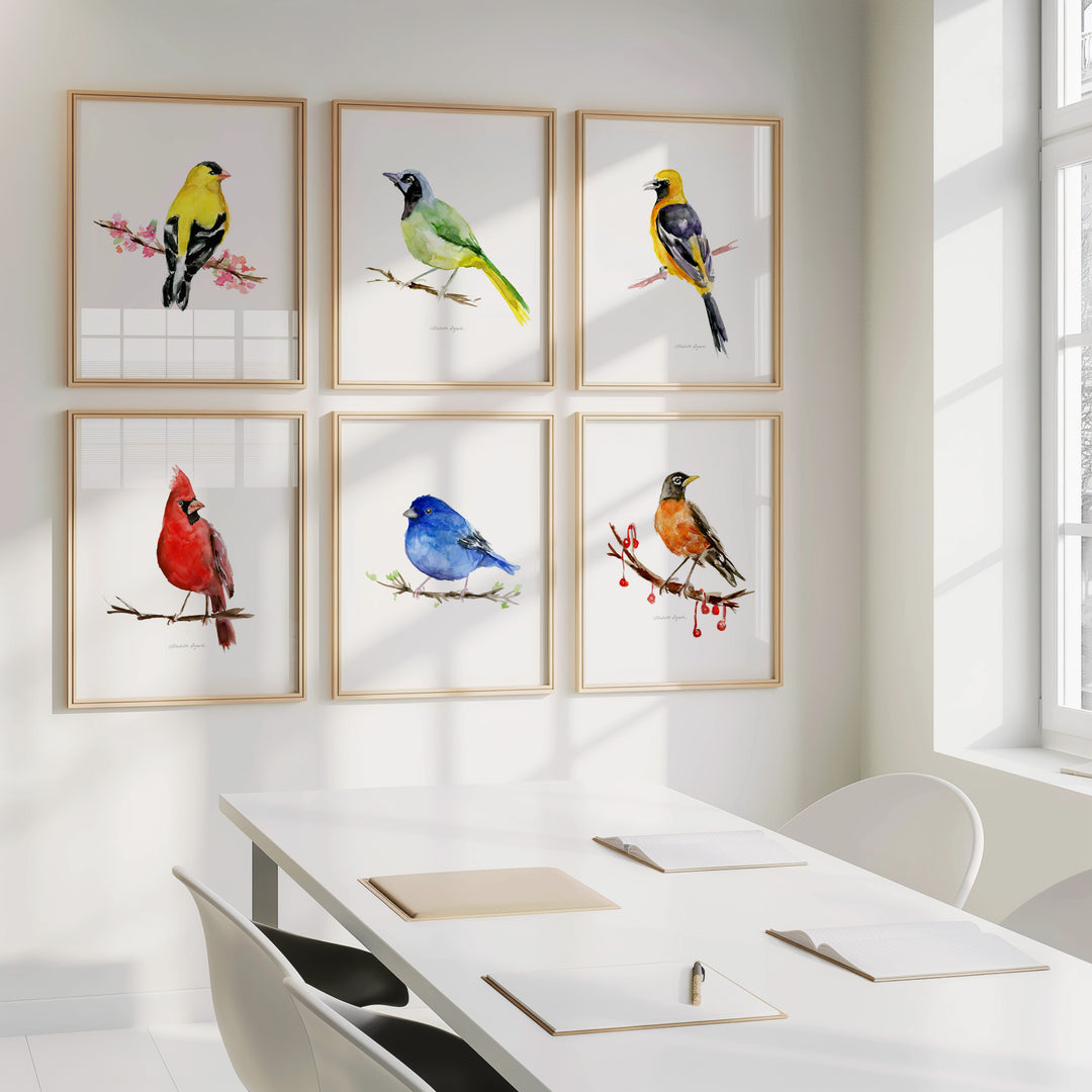 Set van 6 Kleurrijke Amerikaanse zangvogel prints