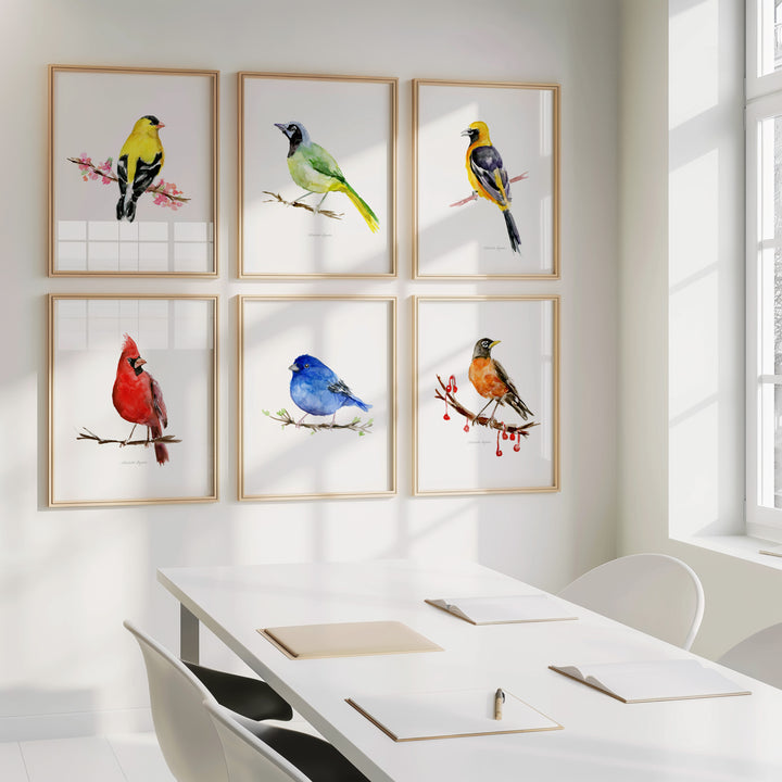 Set van 6 Kleurrijke Amerikaanse zangvogel prints