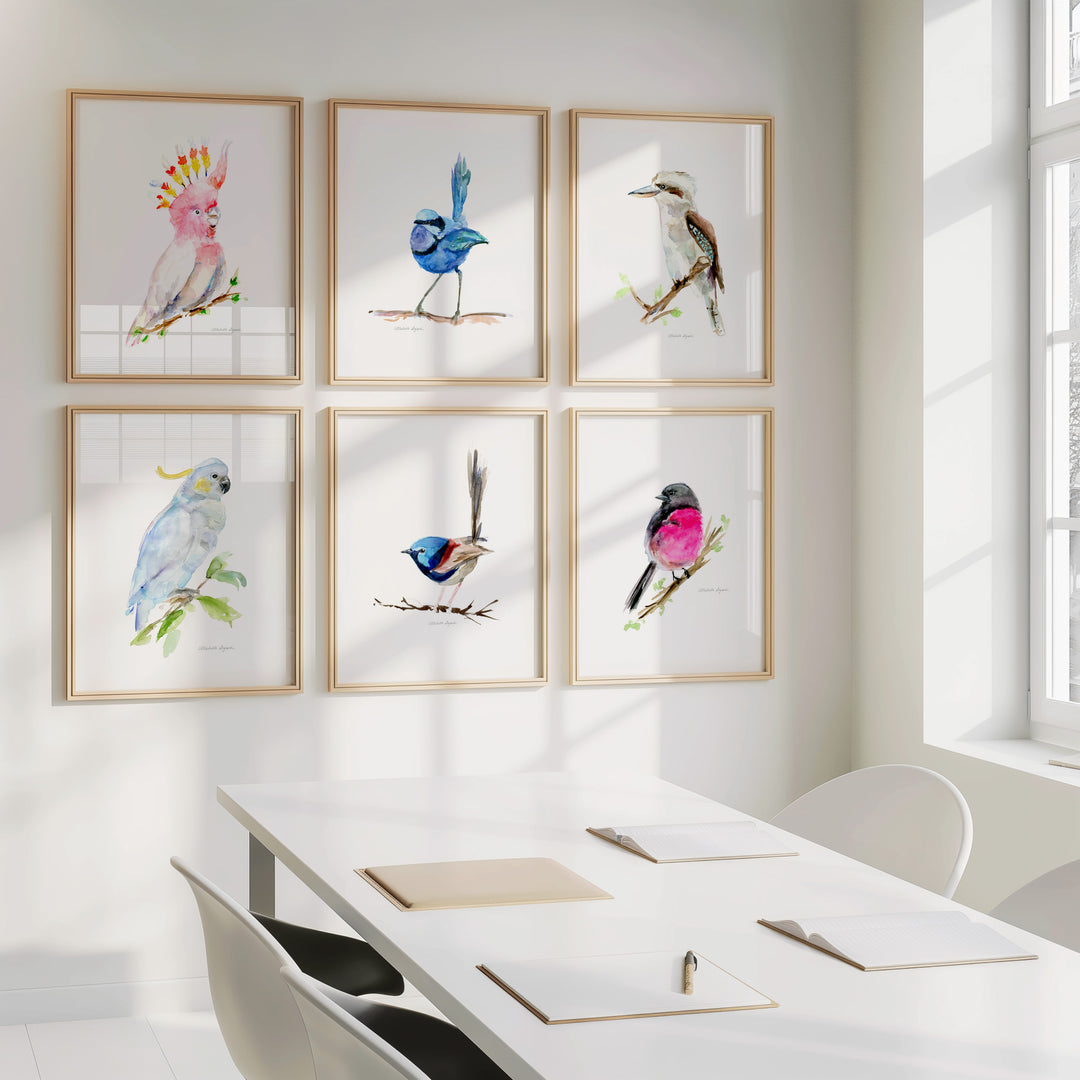 Framed illustrations of Australian birds on a wall above a table.