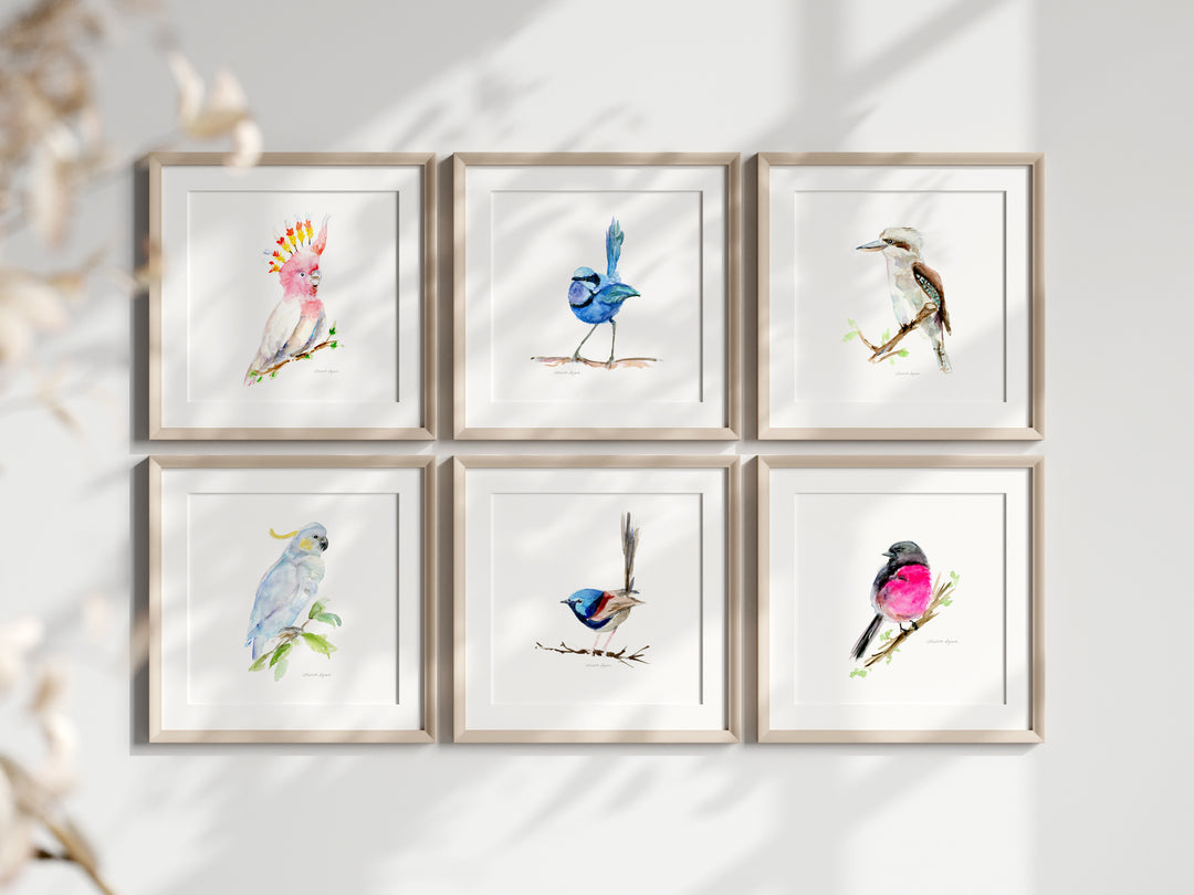 Set van zes verschillende australische vogel prints