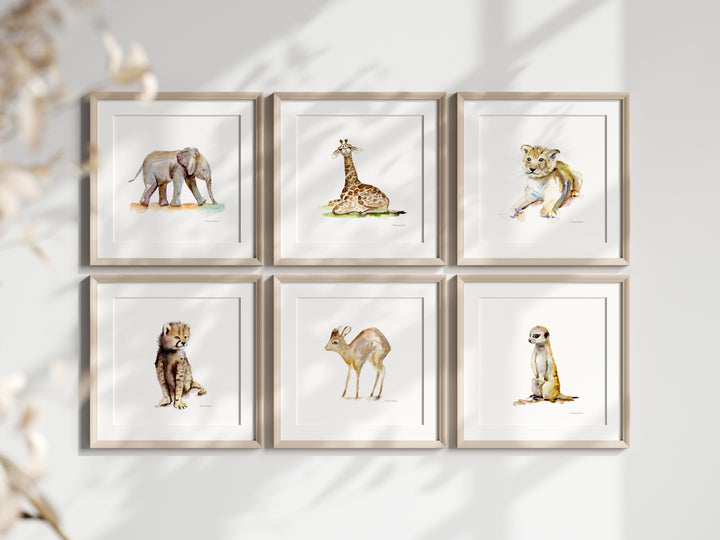 6 vierkante prints aan de muur met afbeeldingen van Afrikaanse dieren