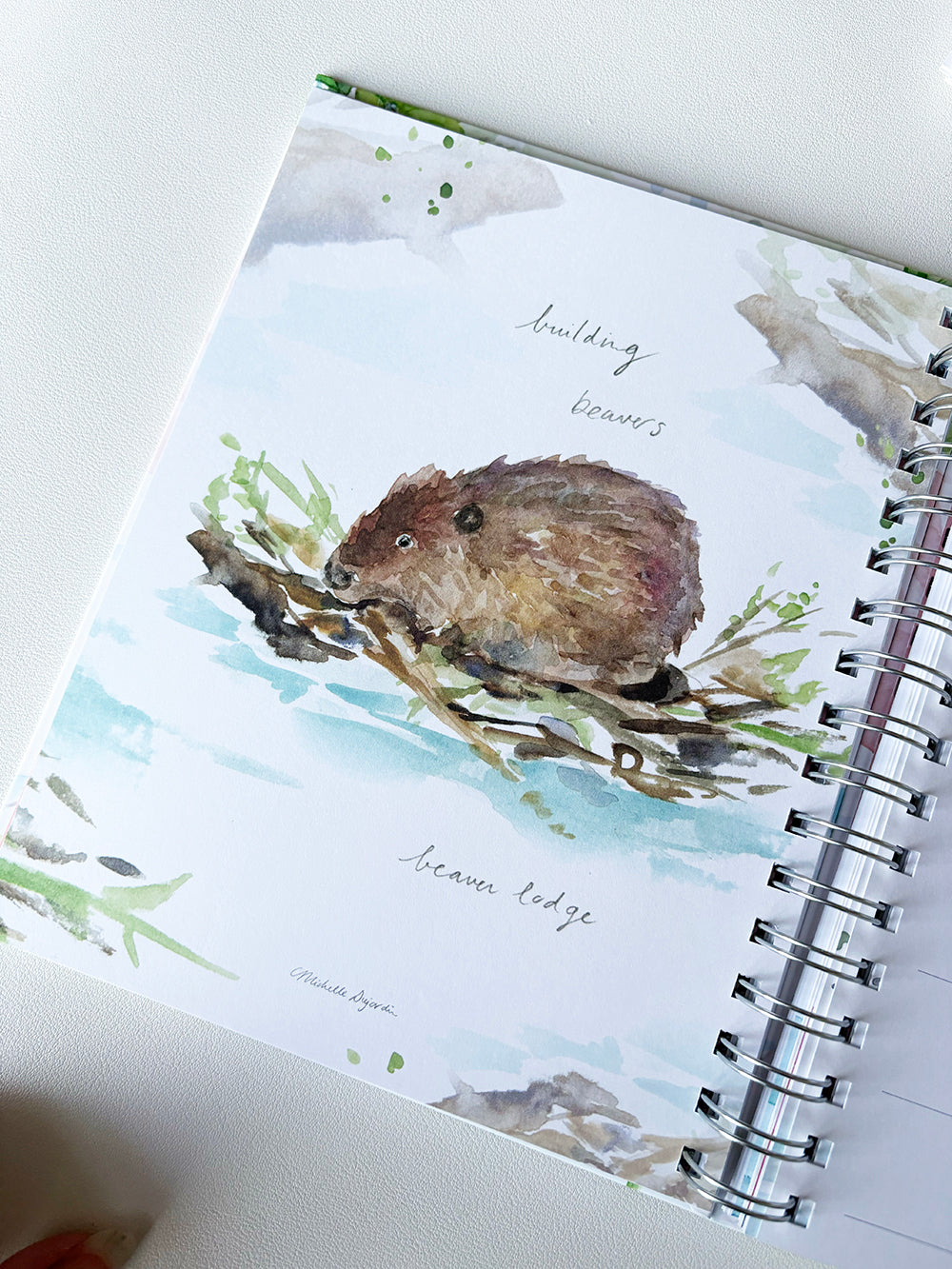 Ring binder diary 2027 'Water a Source of Life '