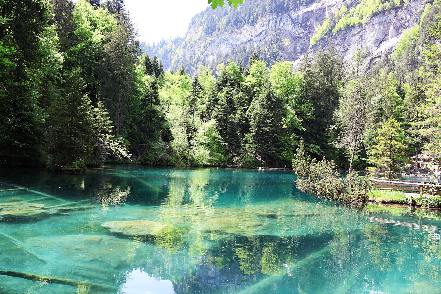 A scenic natural landscape with a clear turquoise alpine lake surrounded by dense green pine trees and steep rocky mountains under bright daylight.