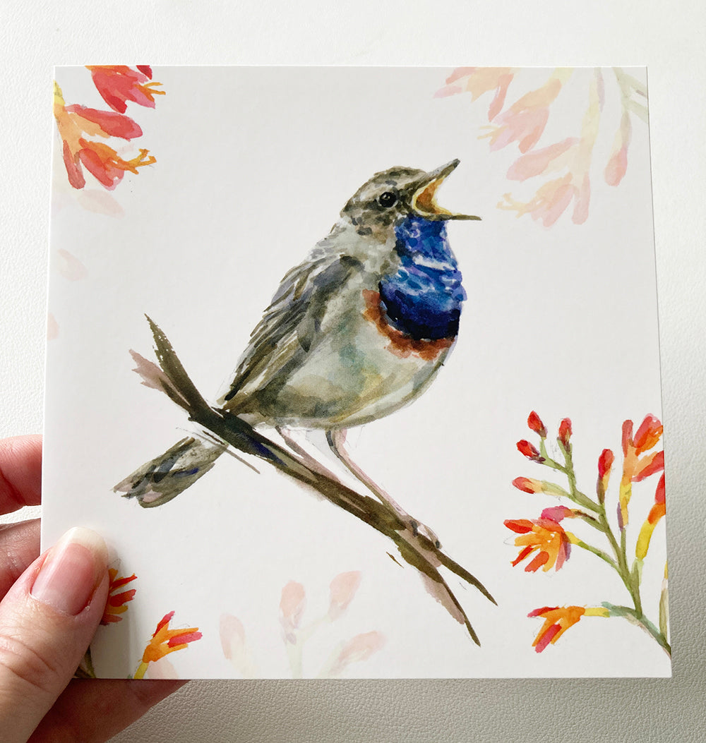 'Birds in spring' wenskaarten set van Michelle Dujardin