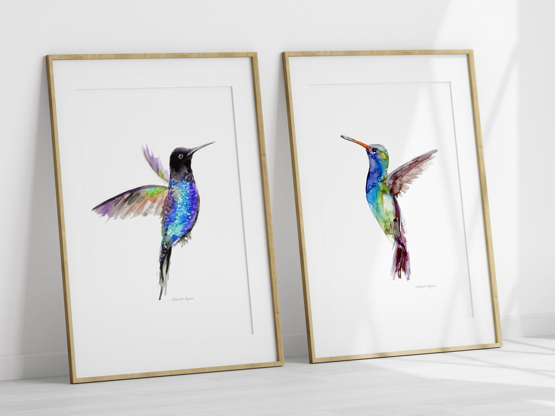 Frames with blue green hummingbird paintings