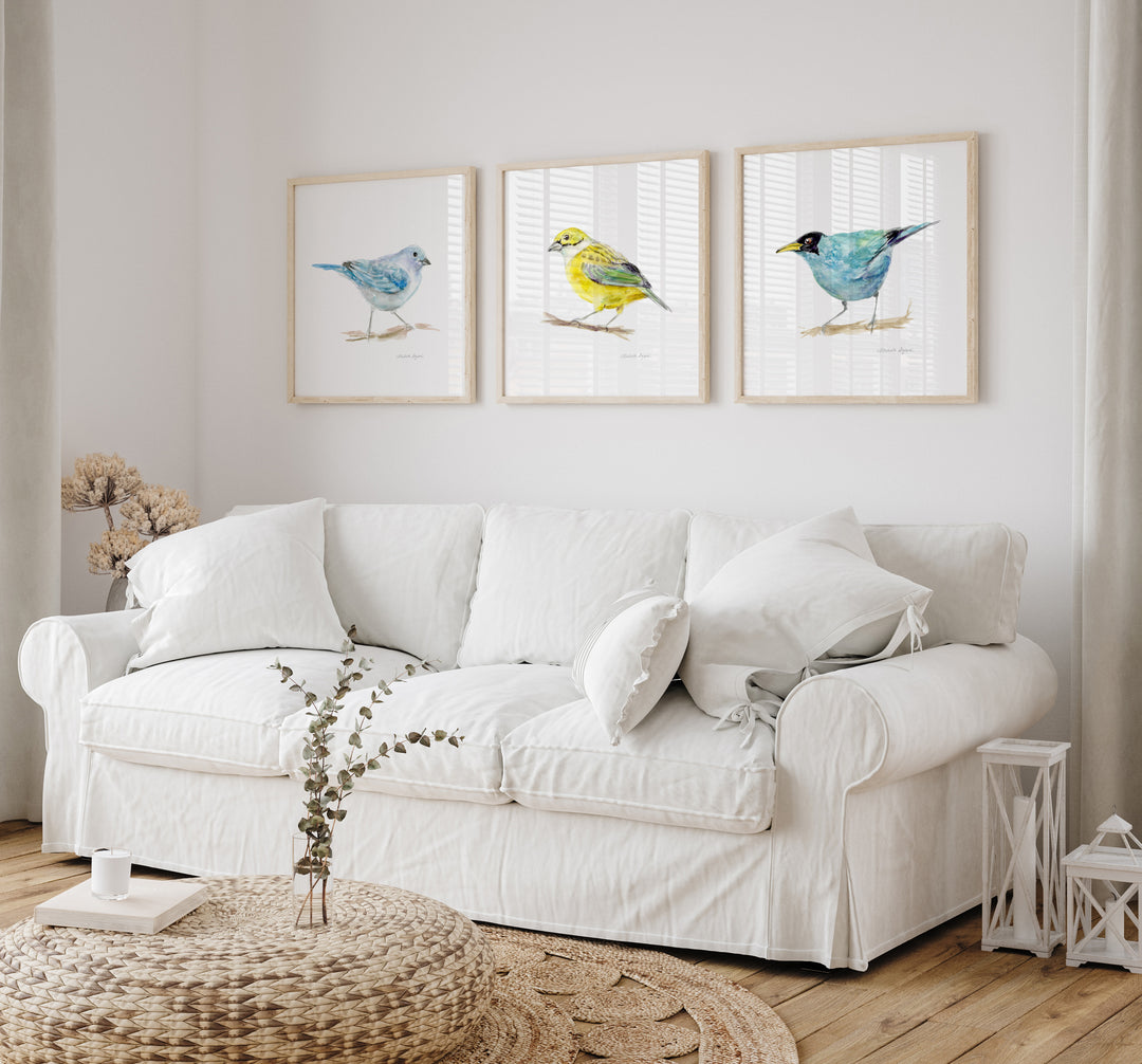 Set of 3 Costa Rica Bird Prints
