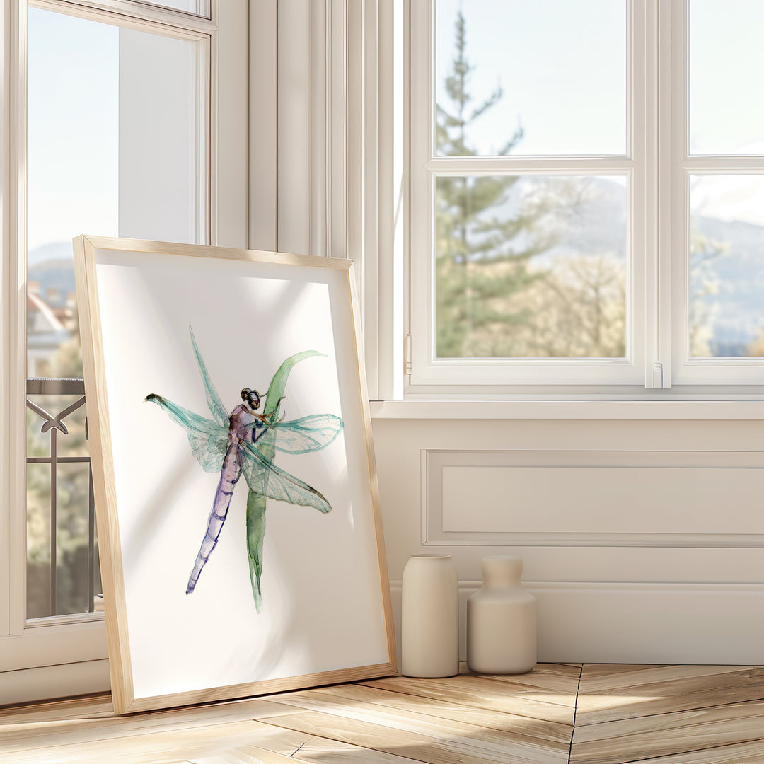 Framed artwork of a dragonfly on a white wall in a room with large windows.