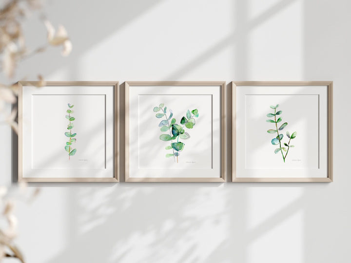 Three framed botanical prints on a white wall