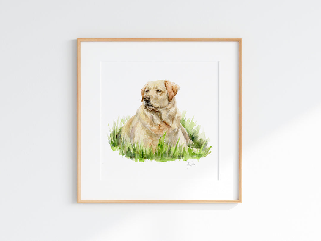Framed artwork of a dog sitting in grass on a white wall
