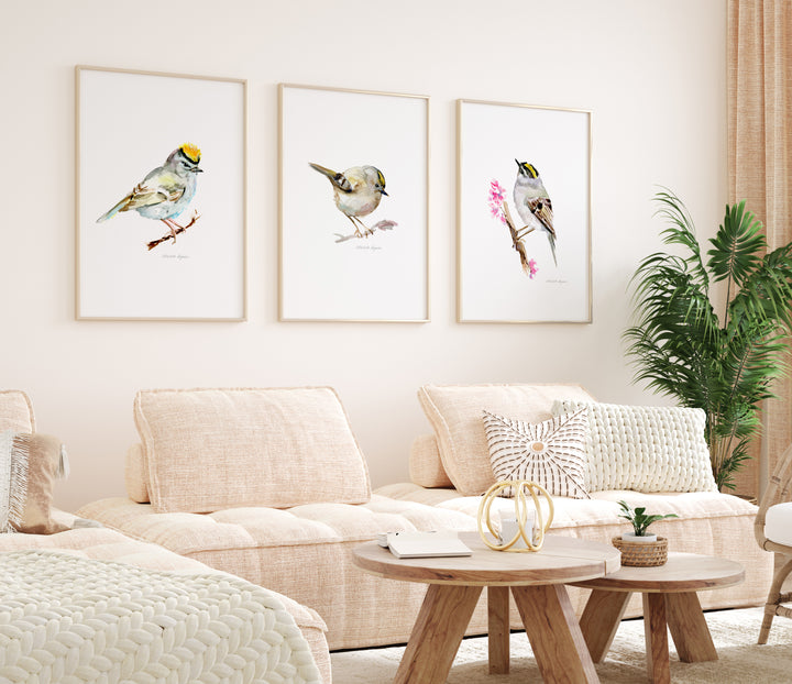 Set of 3 Goldcrest Watercolor Art Prints