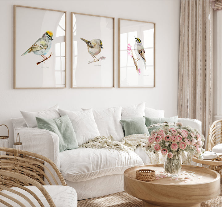 Set of 3 Goldcrest Watercolor Art Prints