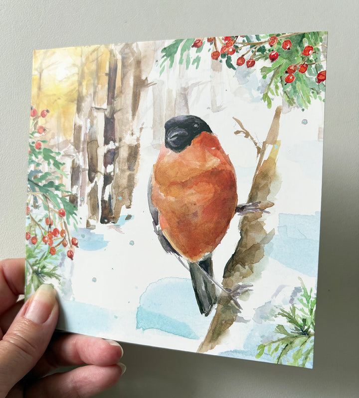 Greeting cards 'Winter Birds' by Michelle Dujardin (2026 release) with kingfisher