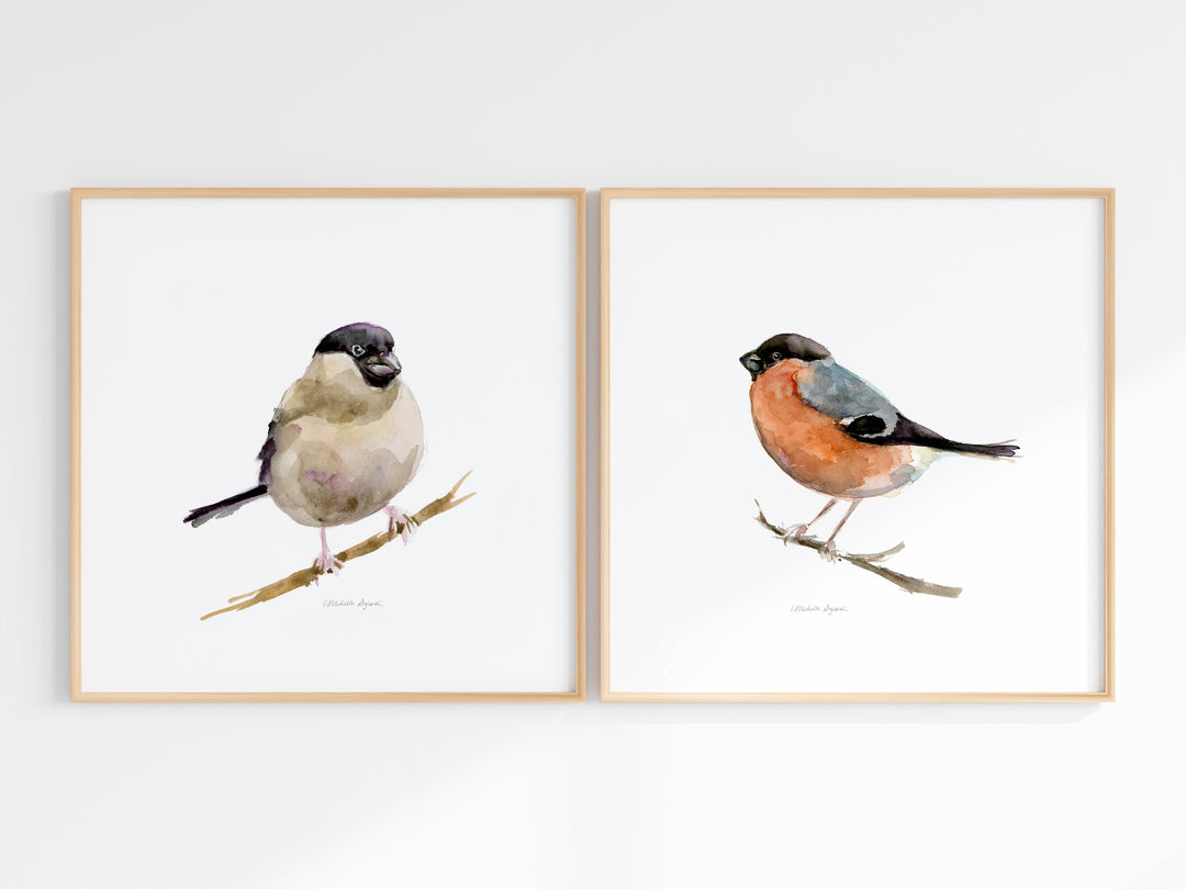 Goudvink Aquarel Kunstprints – Set van 2