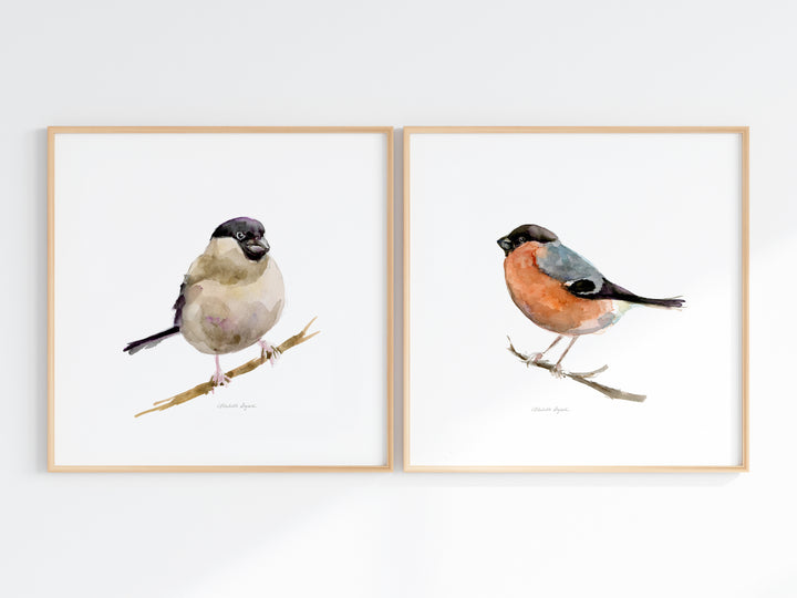 Goudvink Aquarel Kunstprints – Set van 2