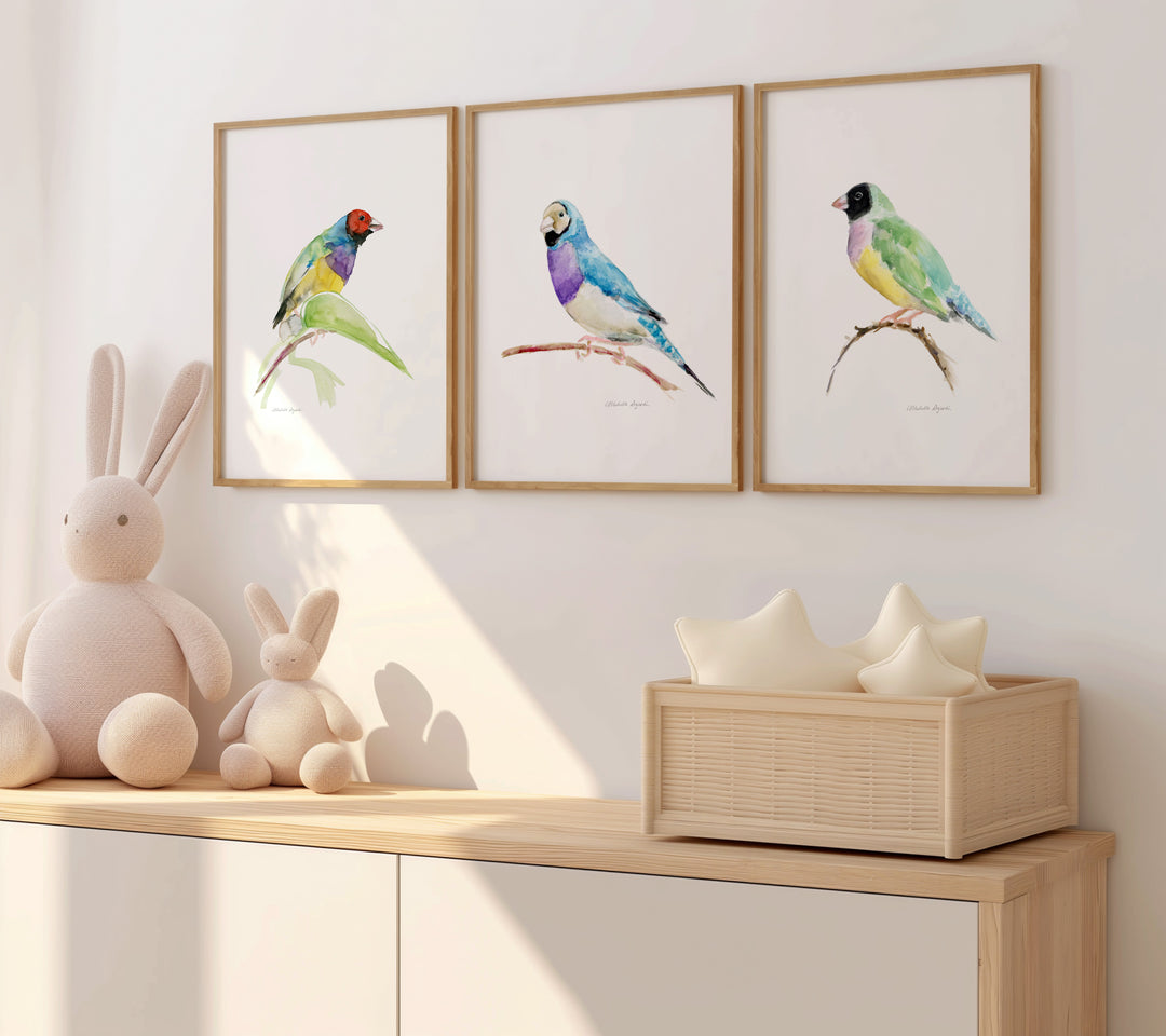 Set of 3 Gouldian Finch Art Prints
