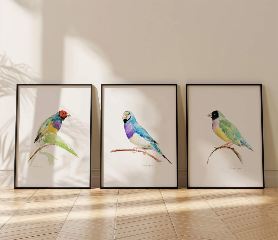 Set of 3 Gouldian Finch Art Prints