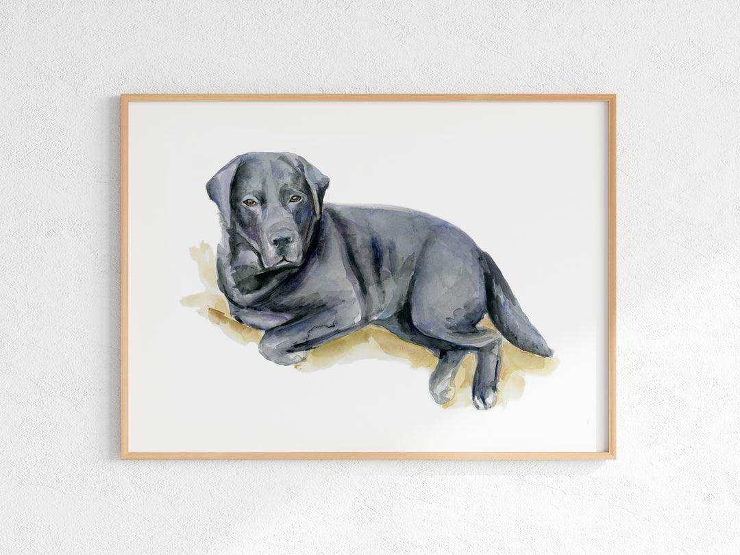 Liggende labrador schilderij aan de muur