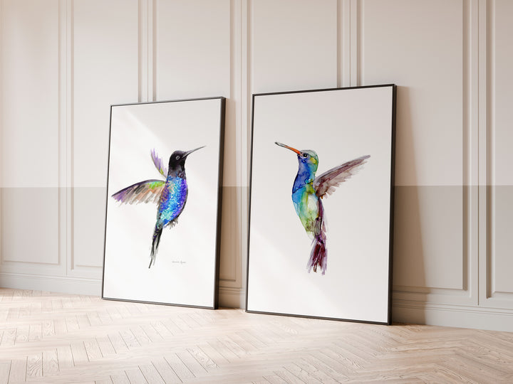 Large hummingbird posters in black frames against a wall