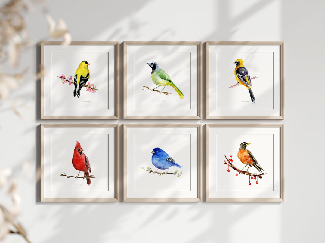Set van 6 Kleurrijke Amerikaanse zangvogel prints