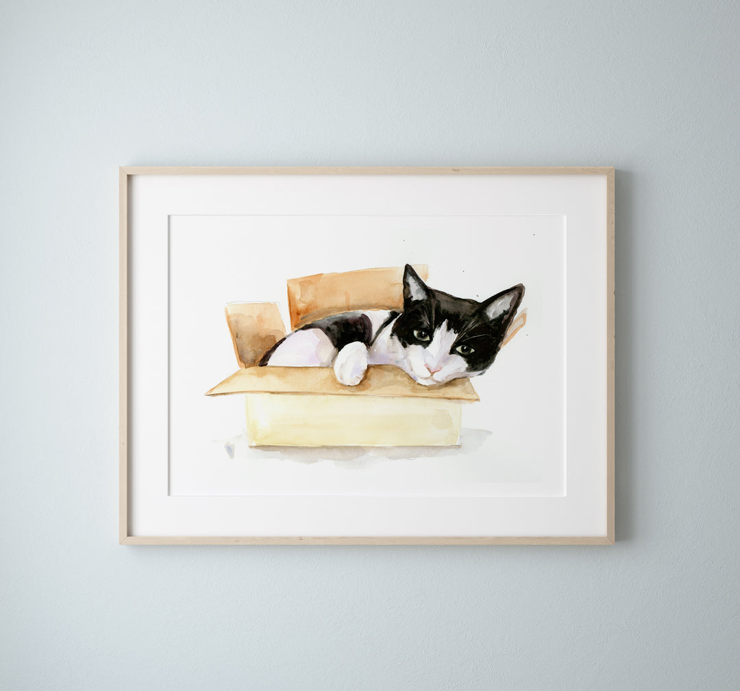 Kat schilderij in opdracht