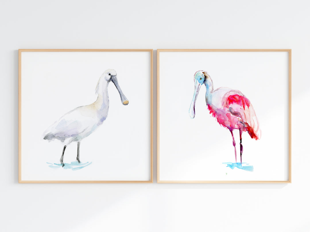 TWee vierkante prints met lepelaar vogels