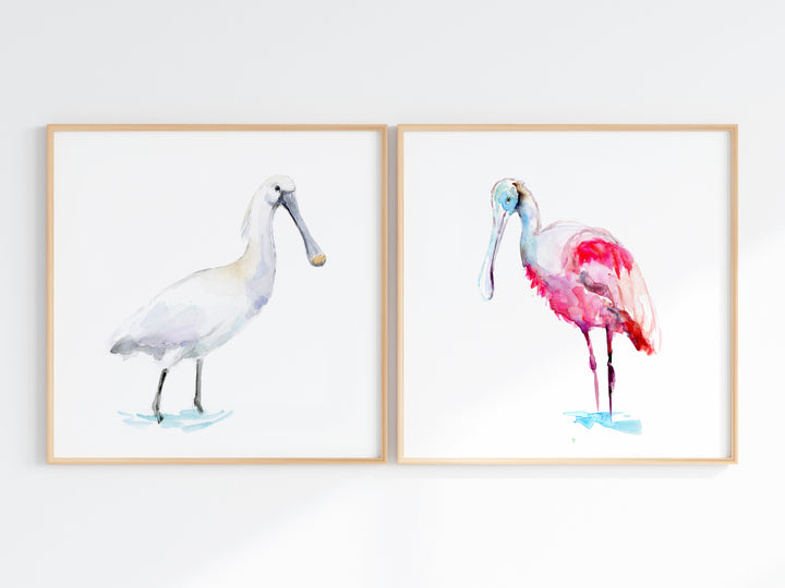 TWee vierkante prints met lepelaar vogels