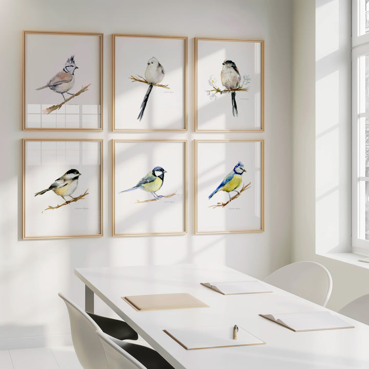 Ingelijste prints met vogelsoorten
