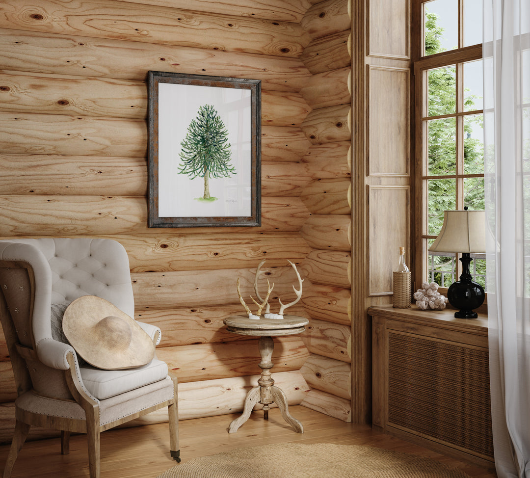 Wooden interior with a chair, table, and framed monkey puzzle tree picture.