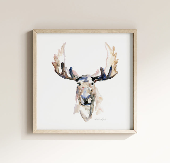 Eland Portret Print